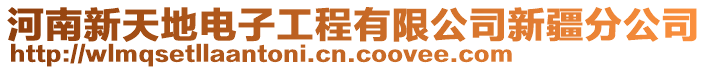 河南新天地電子工程有限公司新疆分公司