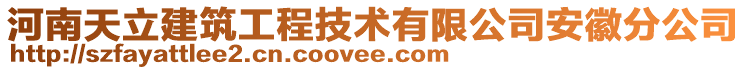 河南天立建筑工程技術有限公司安徽分公司