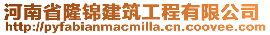 河南省隆錦建筑工程有限公司