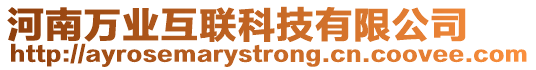 河南萬業(yè)互聯(lián)科技有限公司