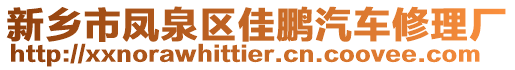 新鄉(xiāng)市鳳泉區(qū)佳鵬汽車修理廠