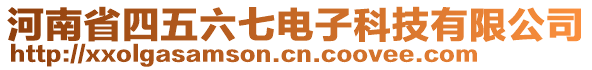 河南省四五六七電子科技有限公司