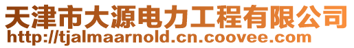 天津市大源电力工程有限公司