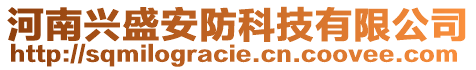 河南興盛安防科技有限公司