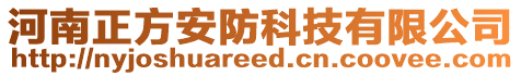 河南正方安防科技有限公司