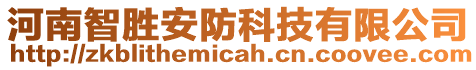 河南智勝安防科技有限公司