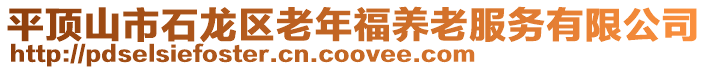 平顶山市石龙区老年福养老服务有限公司