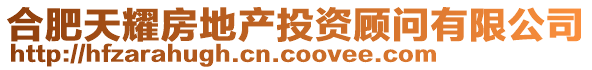 合肥天耀房地產(chǎn)投資顧問(wèn)有限公司