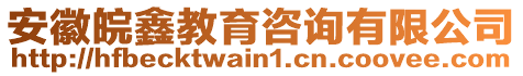 安徽皖鑫教育咨詢有限公司