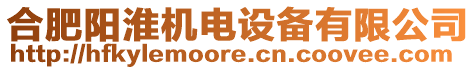 合肥陽(yáng)淮機(jī)電設(shè)備有限公司