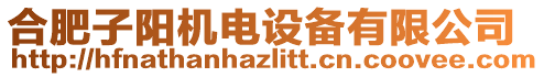 合肥子陽機(jī)電設(shè)備有限公司