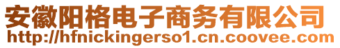 安徽陽格電子商務(wù)有限公司