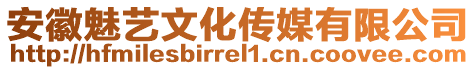 安徽魅藝文化傳媒有限公司