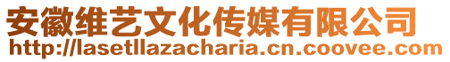 安徽維藝文化傳媒有限公司