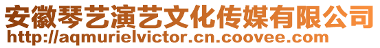 安徽琴藝演藝文化傳媒有限公司