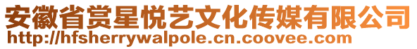 安徽省賞星悅藝文化傳媒有限公司