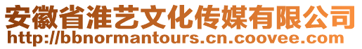 安徽省淮藝文化傳媒有限公司