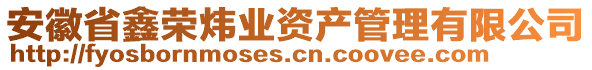 安徽省鑫榮煒業(yè)資產(chǎn)管理有限公司