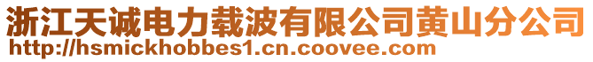 浙江天誠電力載波有限公司黃山分公司