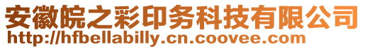 安徽皖之彩印務科技有限公司