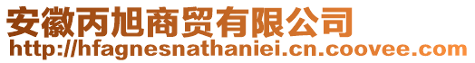 安徽丙旭商貿(mào)有限公司