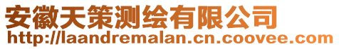 安徽天策測繪有限公司