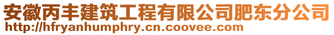 安徽丙豐建筑工程有限公司肥東分公司