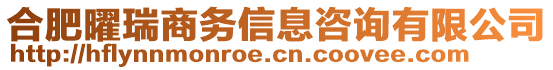 合肥曜瑞商務信息咨詢有限公司