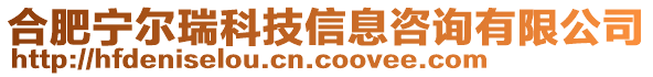 合肥寧爾瑞科技信息咨詢有限公司