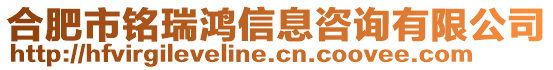 合肥市銘瑞鴻信息咨詢有限公司