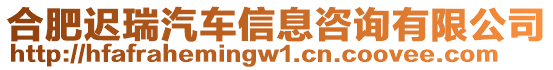 合肥遲瑞汽車信息咨詢有限公司