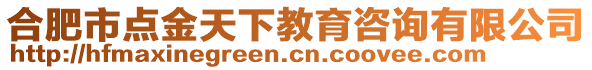 合肥市點(diǎn)金天下教育咨詢有限公司