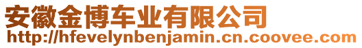 安徽金博車業(yè)有限公司