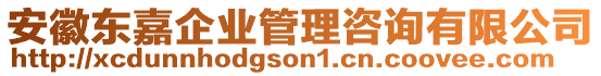 安徽東嘉企業(yè)管理咨詢有限公司