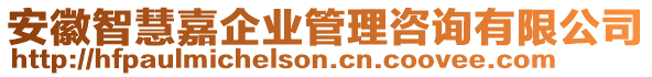 安徽智慧嘉企業(yè)管理咨詢有限公司