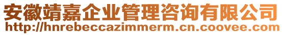 安徽靖嘉企業(yè)管理咨詢有限公司