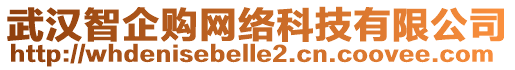 武漢智企購網(wǎng)絡(luò)科技有限公司