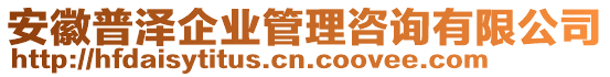 安徽普澤企業(yè)管理咨詢有限公司