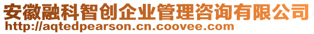 安徽融科智創(chuàng)企業(yè)管理咨詢有限公司