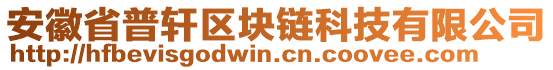 安徽省普軒區(qū)塊鏈科技有限公司