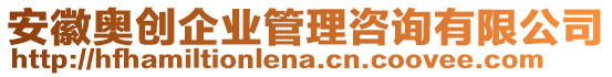 安徽奧創(chuàng)企業(yè)管理咨詢有限公司