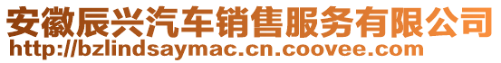 安徽辰興汽車銷售服務(wù)有限公司