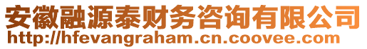 安徽融源泰財務咨詢有限公司