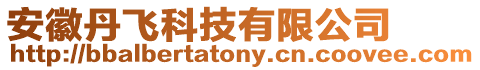 安徽丹飛科技有限公司