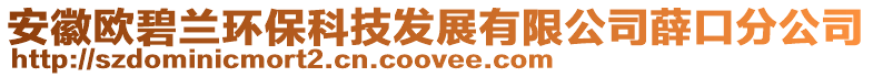 安徽欧碧兰环保科技发展有限公司薛口分公司