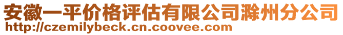 安徽一平价格评估有限公司滁州分公司