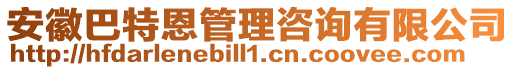 安徽巴特恩管理咨詢有限公司