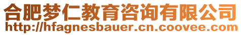 合肥夢仁教育咨詢有限公司