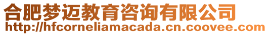 合肥夢(mèng)邁教育咨詢有限公司