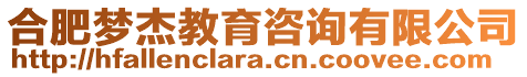 合肥夢杰教育咨詢有限公司